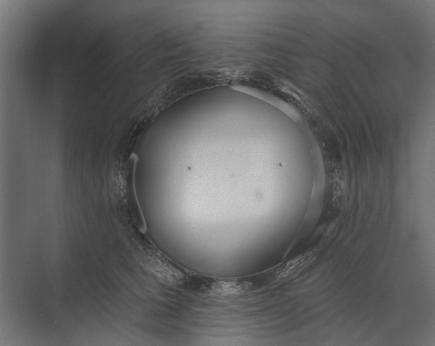 X0000073830613200608240952