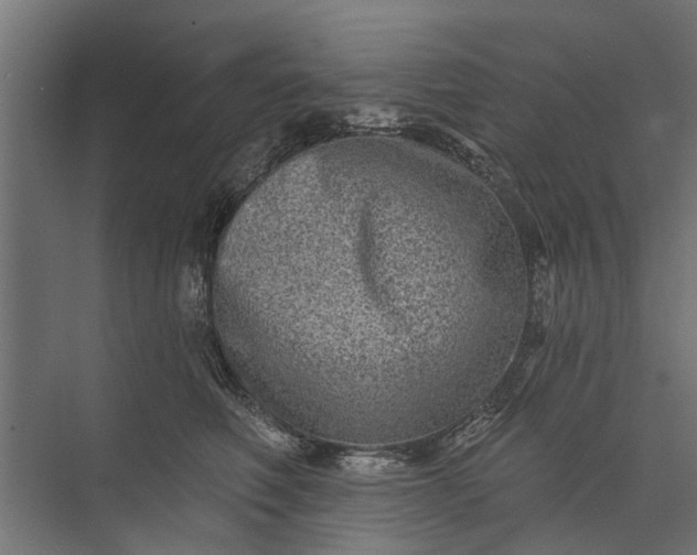 X0000073830614200608240952