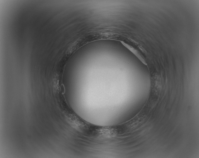 X0000073830615200608240952