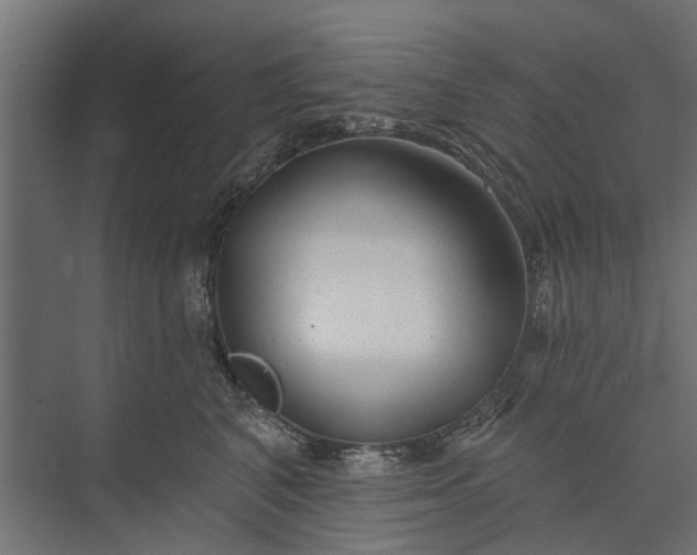 X0000073830616200608240952