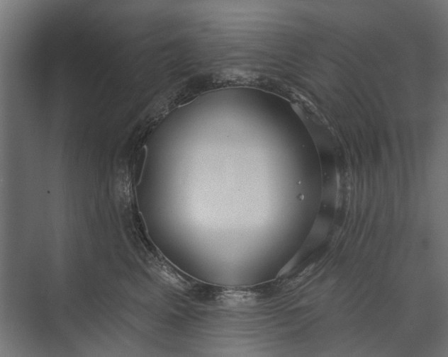 X0000073830617200608240952