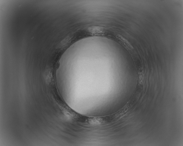 X0000073830618200608240952