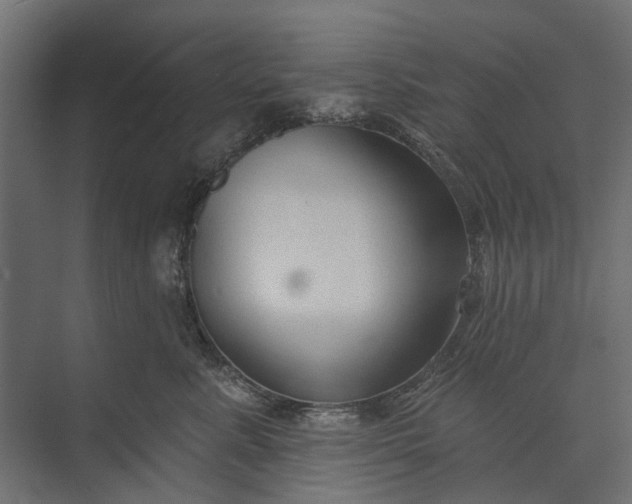 X0000073830619200608240952