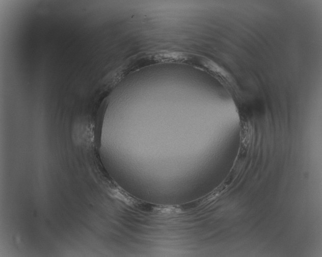 X0000073830621200608240952