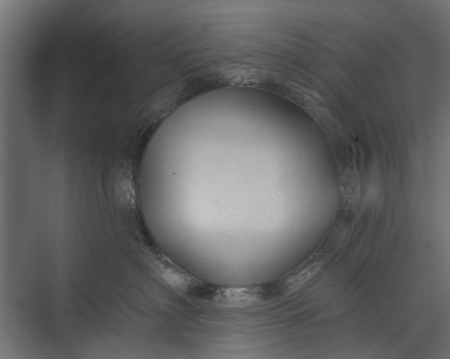 X0000073830622200608240952