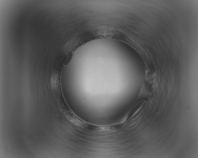 X0000073830623200608240952