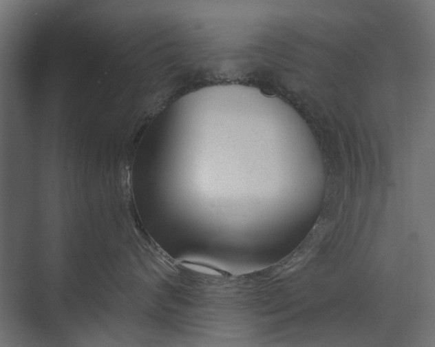 X0000073830624200608240952