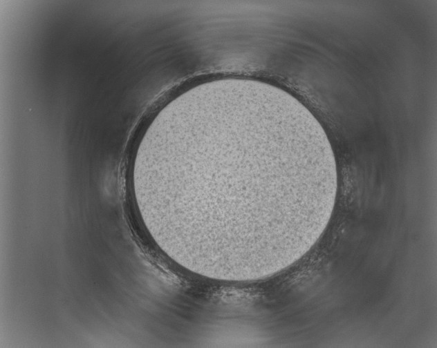 X0000073830632200608240952