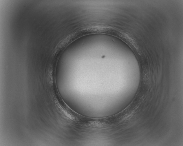 X0000073830633200608240952