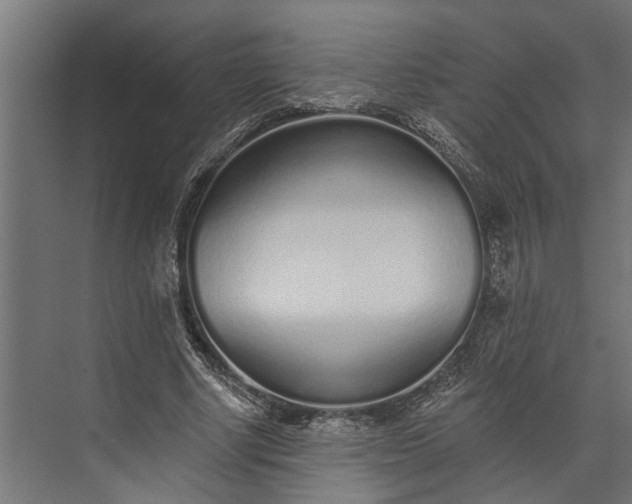 X0000073830634200608240952