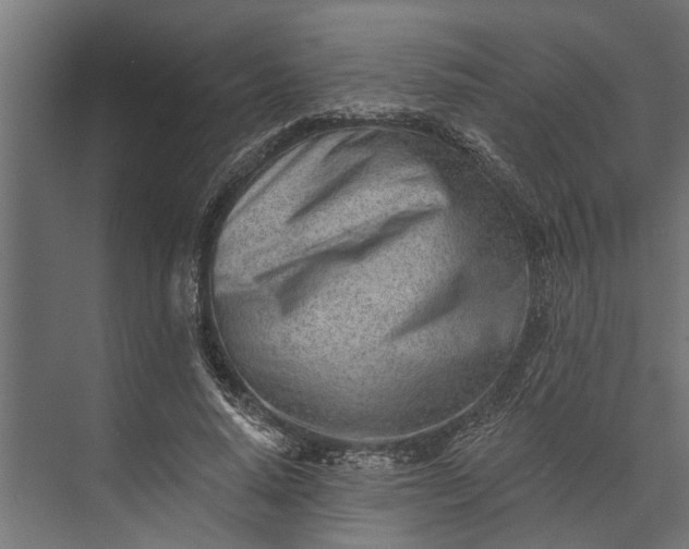 X0000073830640200608240952