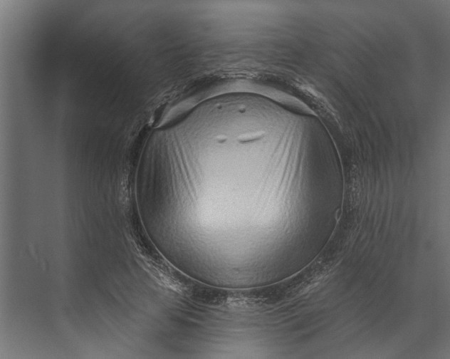 X0000073830641200608240952