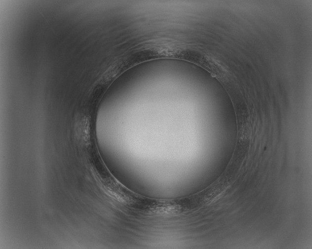 X0000073830646200608240952