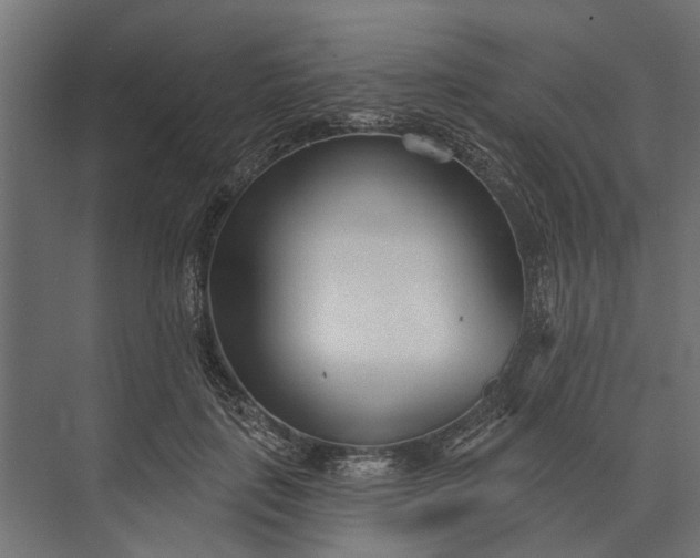 X0000073830651200608240952