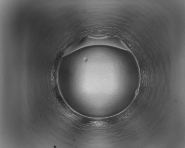 X0000073830654200608240952