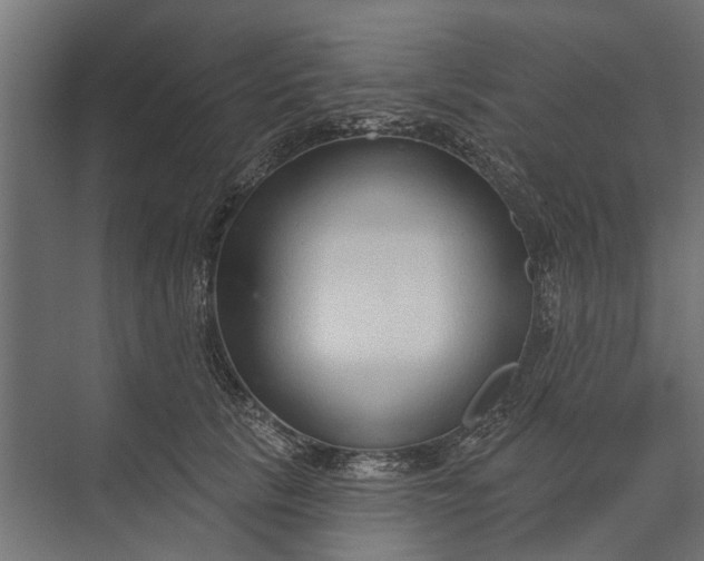 X0000073830657200608240952