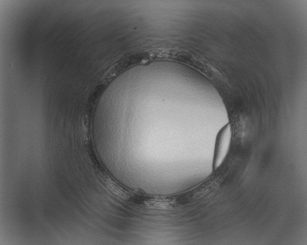 X0000073830661200608240952