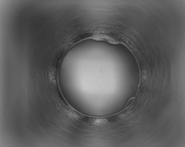 X0000073830663200608240952