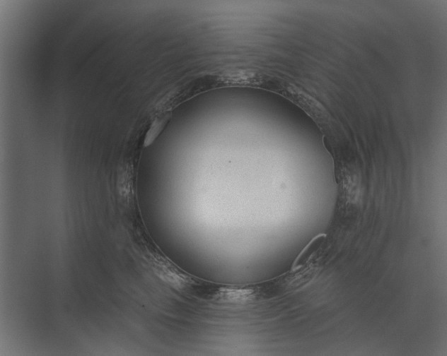 X0000073830665200608240952