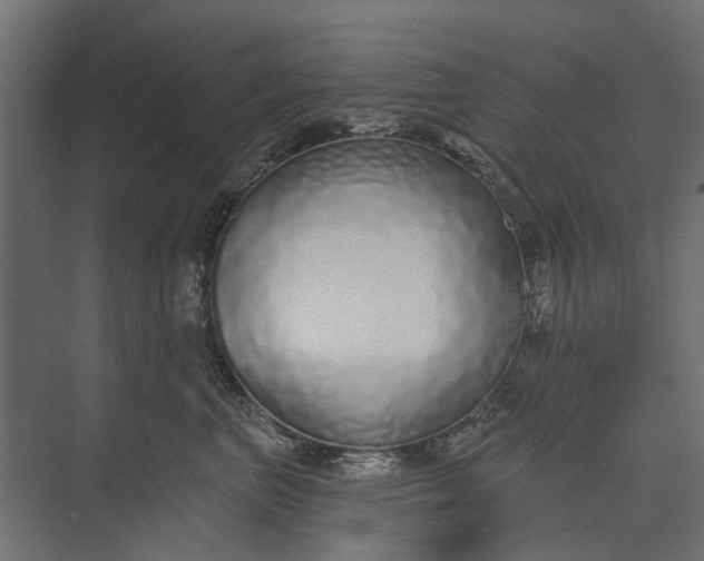 X0000073830667200608240952