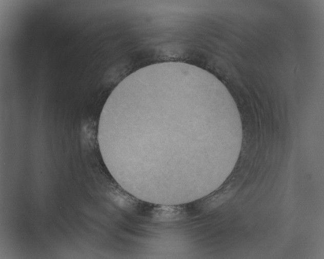 X0000073830672200608240952