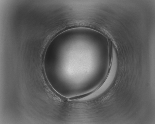 X0000073830673200608240951