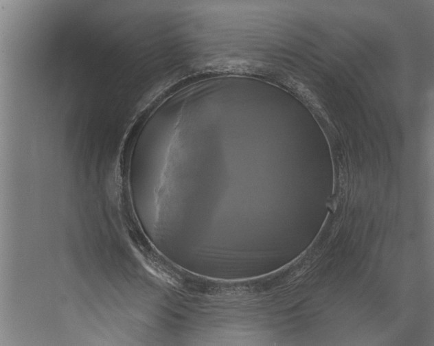 X0000073830674200608240951