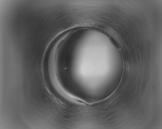 X0000073830676200608240951