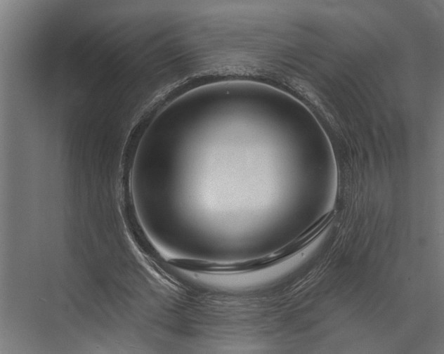 X0000073830677200608240951