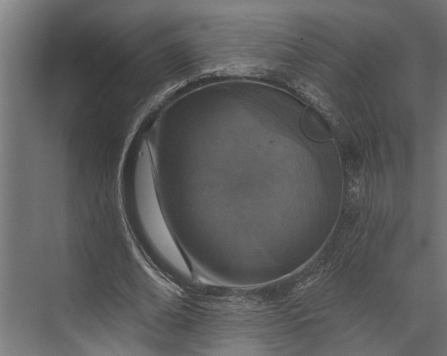 X0000073830678200608240951