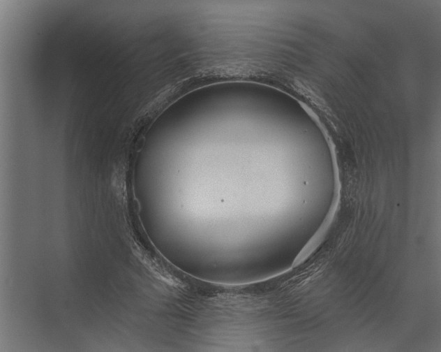 X0000073830681200608240951