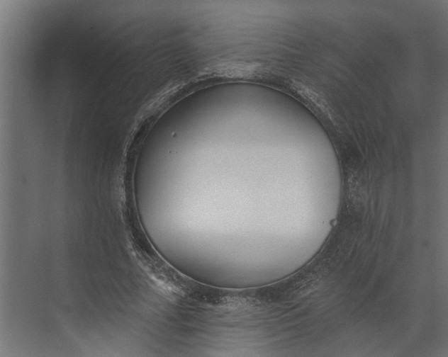 X0000073830682200608240951