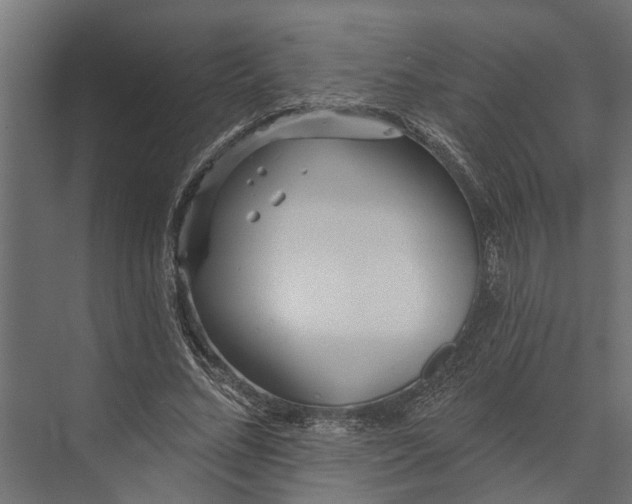 X0000073830684200608240951