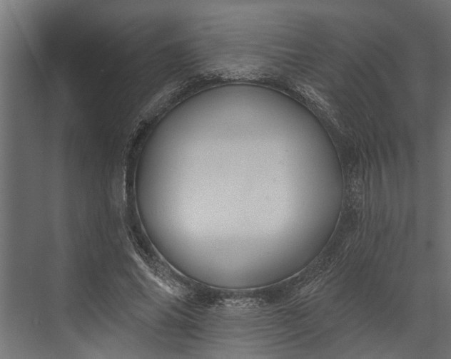 X0000073830686200608240951