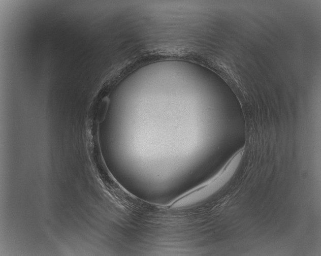 X0000073830688200608240951