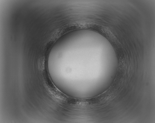 X0000073830694200608240951