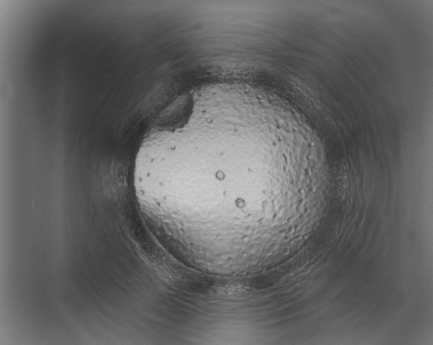 X0000073830695200608240951