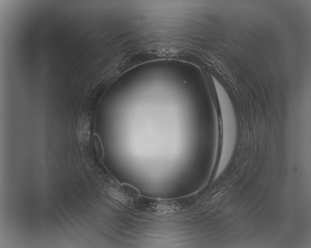 X0000073830697200608240951