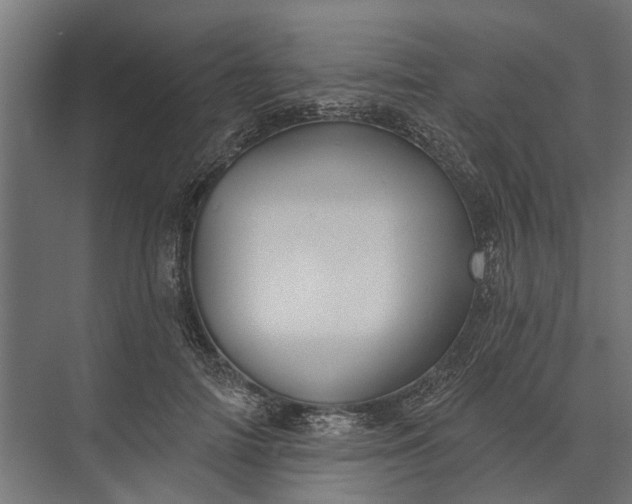 X0000073830698200608240951