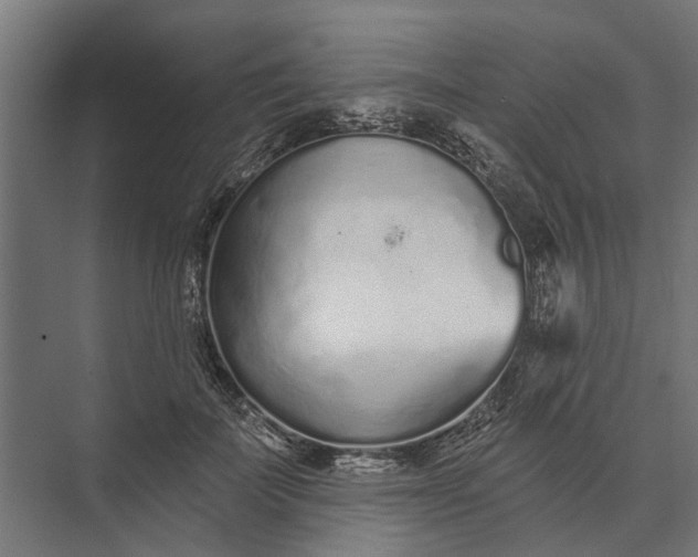 X0000073830699200608240951