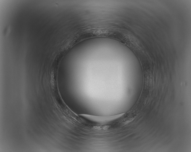 X0000073830700200608240951