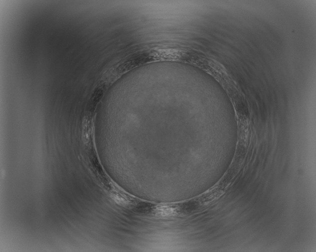 X0000073830701200608240951