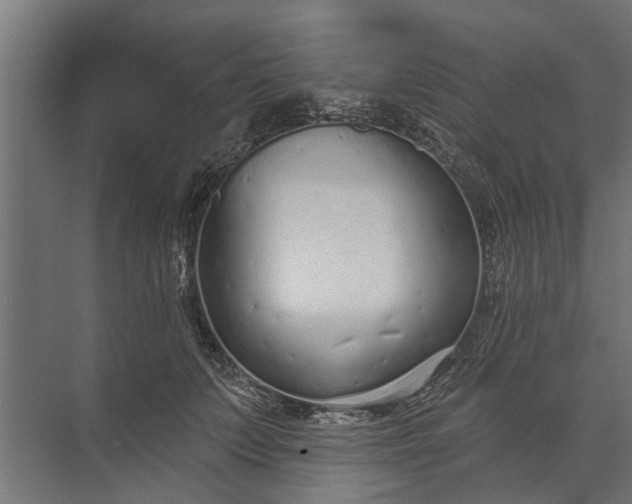 X0000073830703200608240951