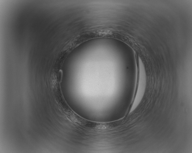 X0000073830704200608240951