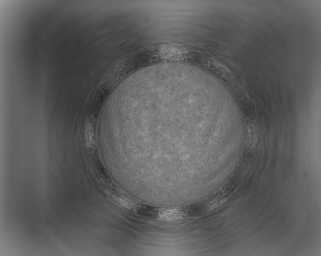 X0000073830705200608240951