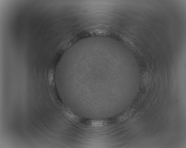 X0000073830709200608240951