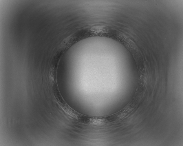 X0000073830710200608240951