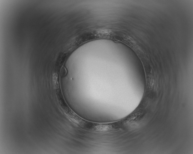 X0000073830711200608240951