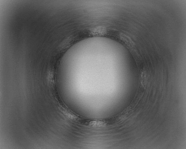 X0000073830714200608240951