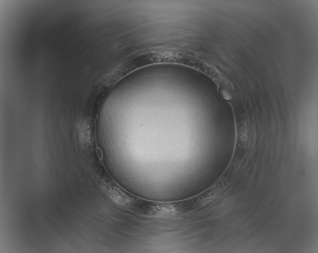 X0000073830715200608240951